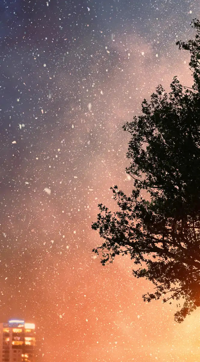 Starry Tree Wall Art