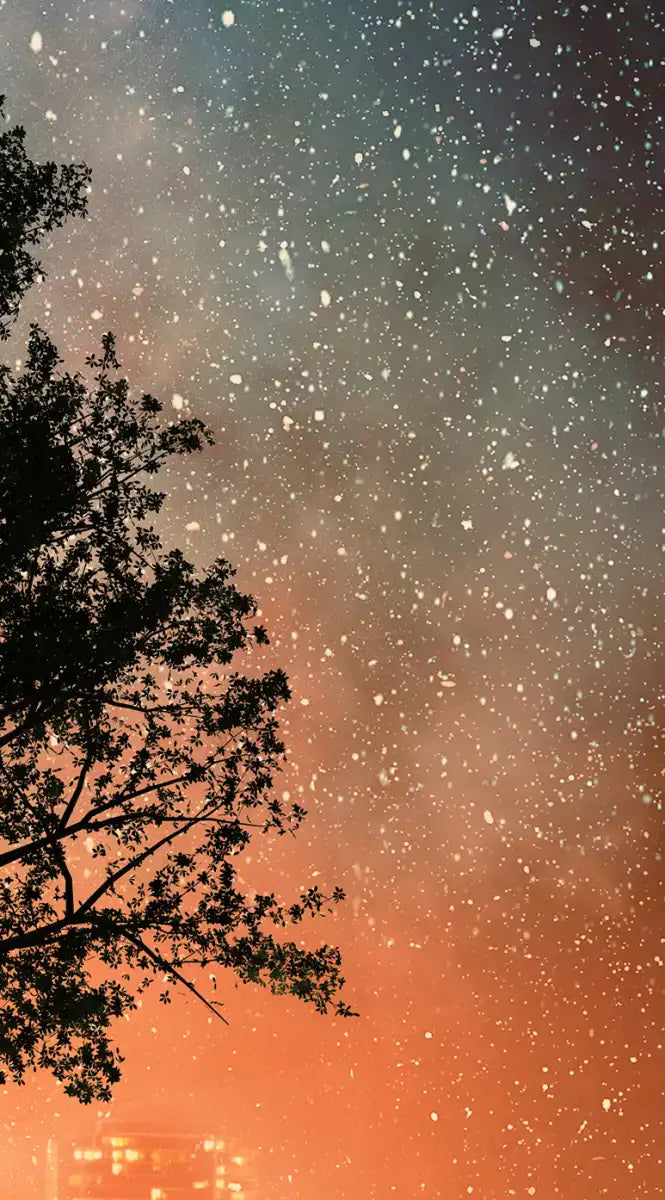 Starry Tree Wall Art