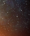 Starry Tree Wall Art