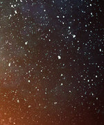 Starry Tree Wall Art