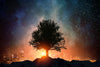 Starry Tree Wall Art