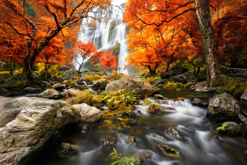 Stunning Autumn Waterfall Wall Art