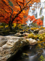 Stunning Autumn Waterfall Wall Art