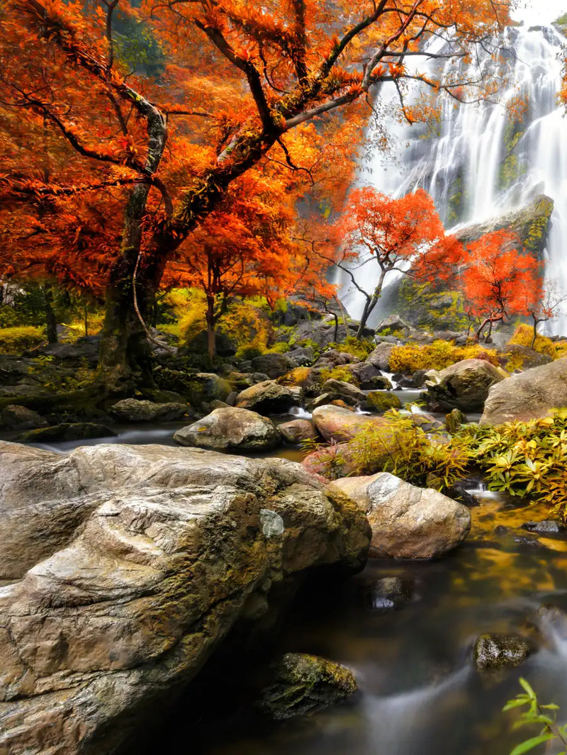 Stunning Autumn Waterfall Wall Art