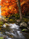 Stunning Autumn Waterfall Wall Art