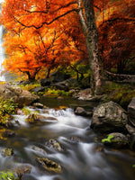 Stunning Autumn Waterfall Wall Art