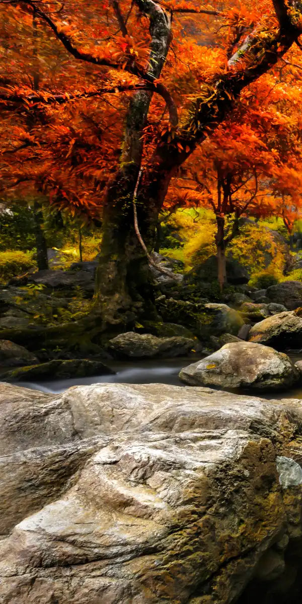 Stunning Autumn Waterfall Wall Art