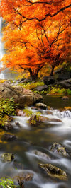 Stunning Autumn Waterfall Wall Art
