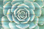 Succulent Plant Bloom Wall Art