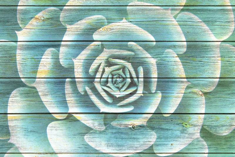 Succulent Plant Bloom Wall Art