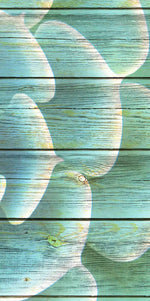 Succulent Plant Bloom Wall Art