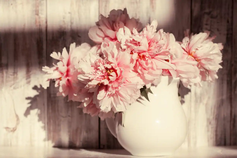 Sun Bright Peonies Wall Art