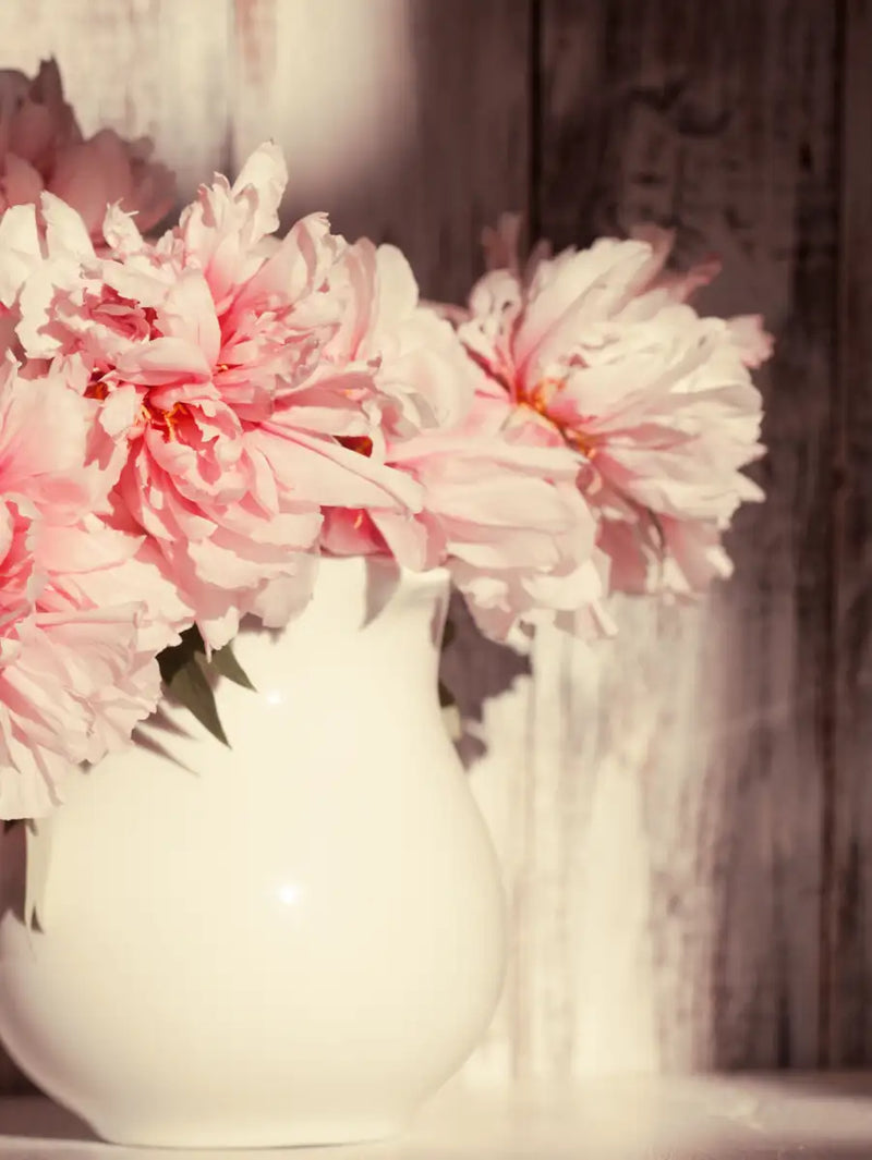 Sun Bright Peonies Wall Art