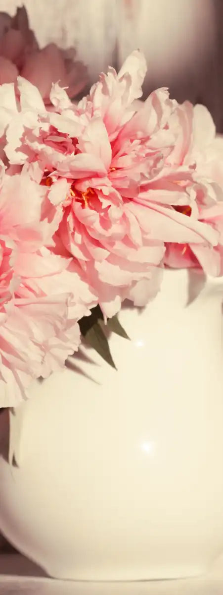 Sun Bright Peonies Wall Art