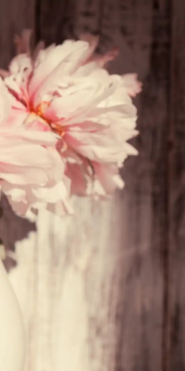 Sun Bright Peonies Wall Art