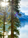 Sunny Maligne Lake Wall Art
