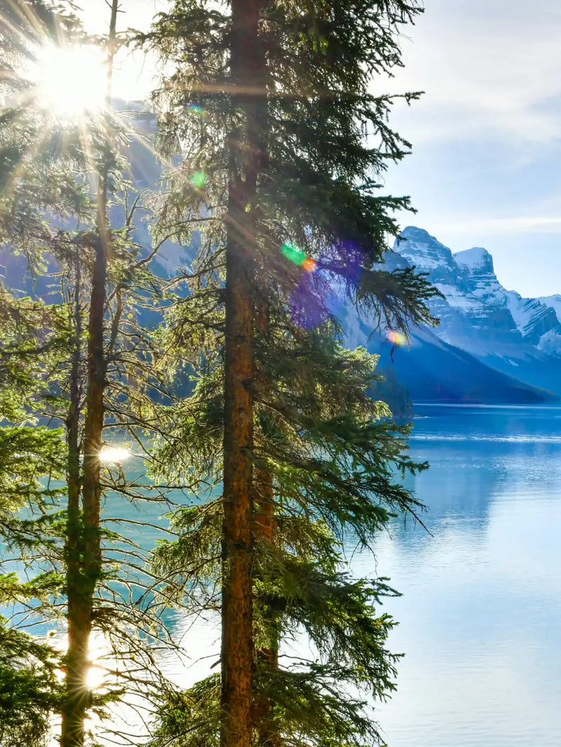 Sunny Maligne Lake Wall Art