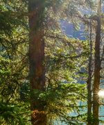 Sunny Maligne Lake Wall Art