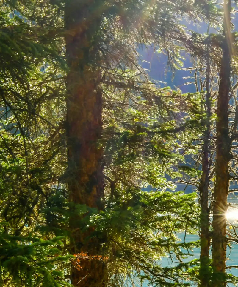 Sunny Maligne Lake Wall Art