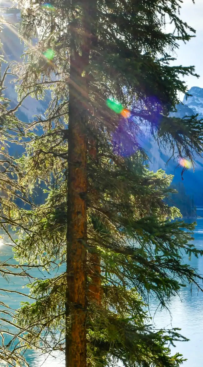 Sunny Maligne Lake Wall Art