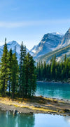 Sunny Maligne Lake Wall Art