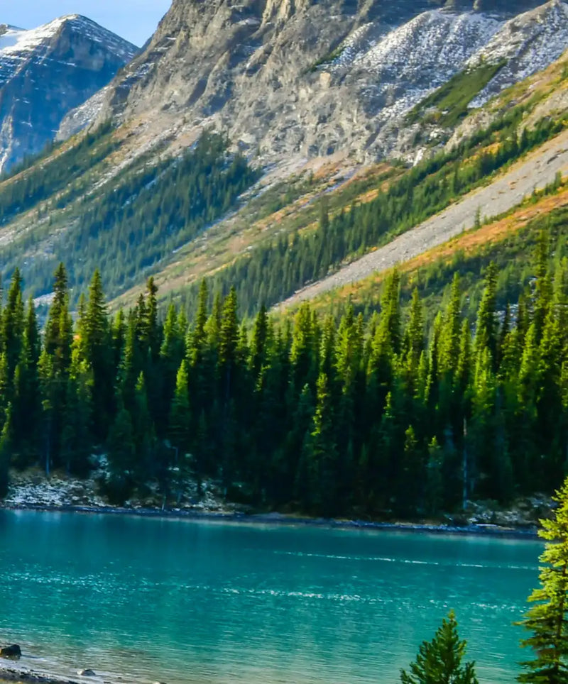 Sunny Maligne Lake Wall Art
