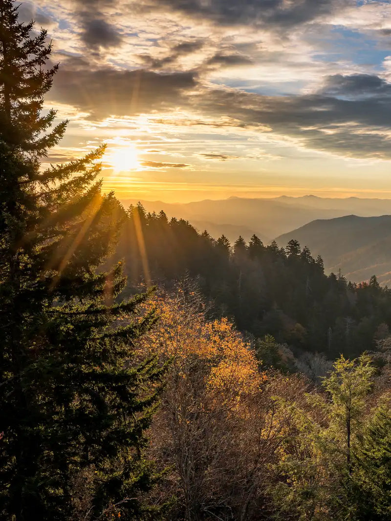 Sunrise In Smoky Mountains Wall Art