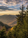 Sunrise In Smoky Mountains Wall Art