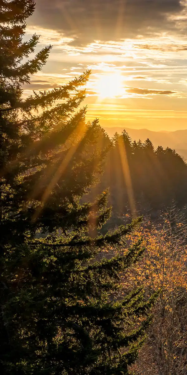 Sunrise In Smoky Mountains Wall Art