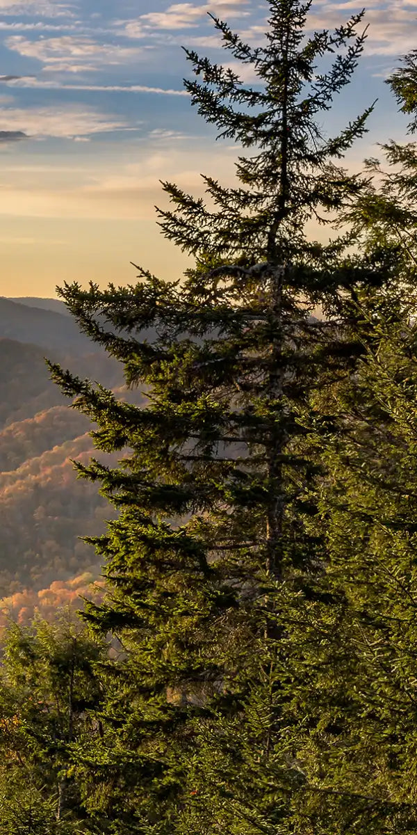 Sunrise In Smoky Mountains Wall Art