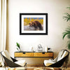 Resting Grizzly Bear Wall Art
