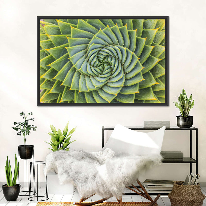 Spiral Succulent Wall Art