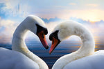 Swan Romance Wall Art