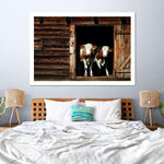 Pair Of Cows Wall Art