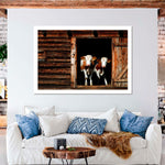 Pair Of Cows Wall Art
