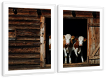 Pair Of Cows Wall Art