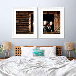 Pair Of Cows Wall Art