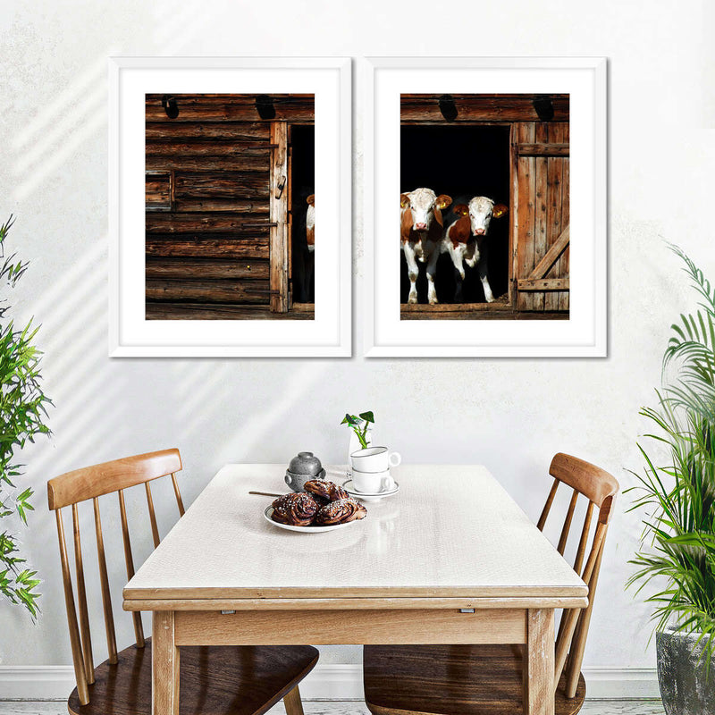 Pair Of Cows Wall Art