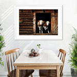 Pair Of Cows Wall Art