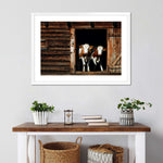 Pair Of Cows Wall Art