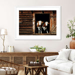 Pair Of Cows Wall Art