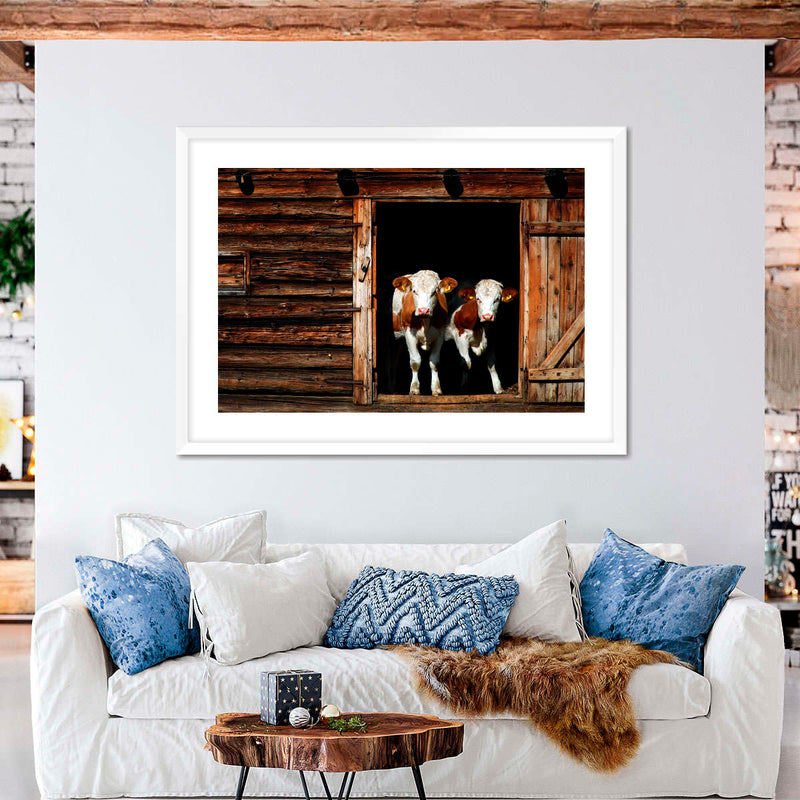Pair Of Cows Wall Art
