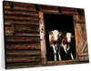 Pair Of Cows Wall Art