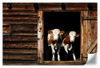 Pair Of Cows Wall Art