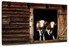 Pair Of Cows Wall Art
