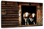 Pair Of Cows Wall Art