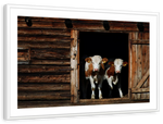 Pair Of Cows Wall Art