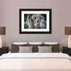 Happy Koala Wall Art
