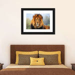 Proud Lion Wall Art