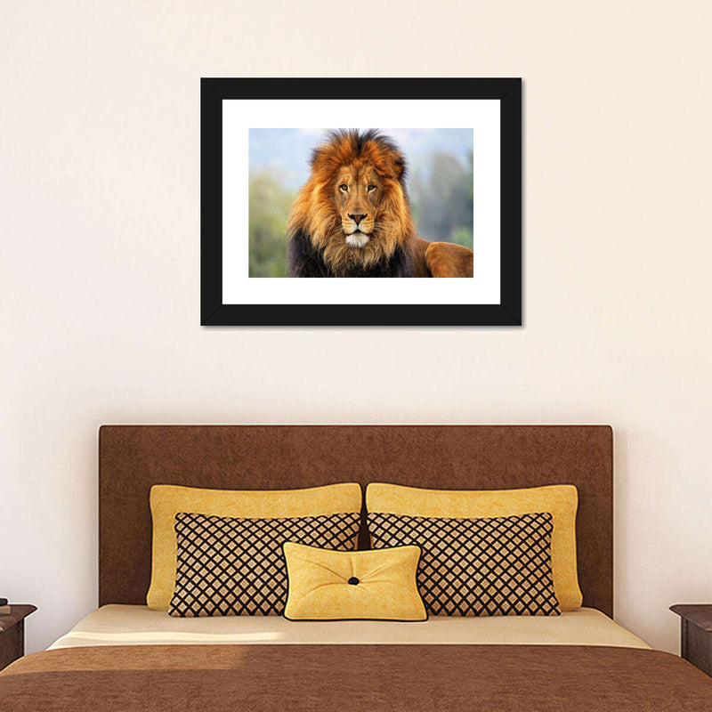 Proud Lion Wall Art